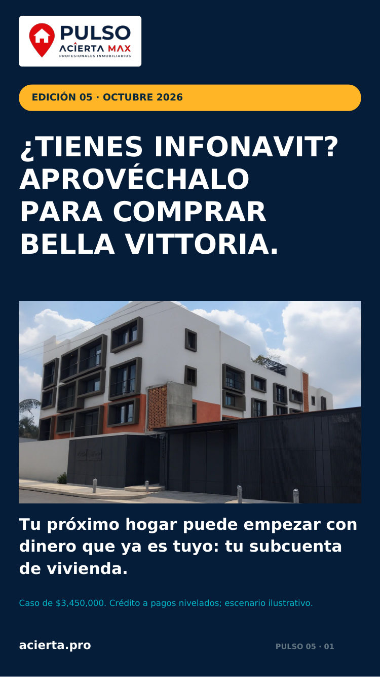 Portada del PULSO 05